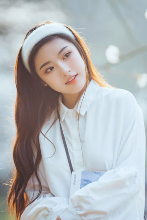 乱马重置版在线观看