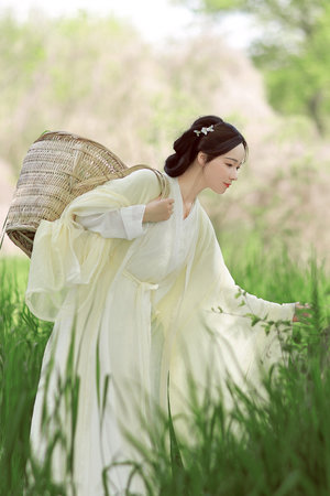 电视剧娘道全集免费观看