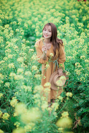 邪恶木邪恶道邪恶帝